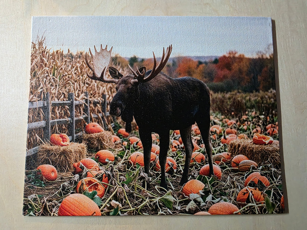 Full Color HD UV Photo on Solid Maple